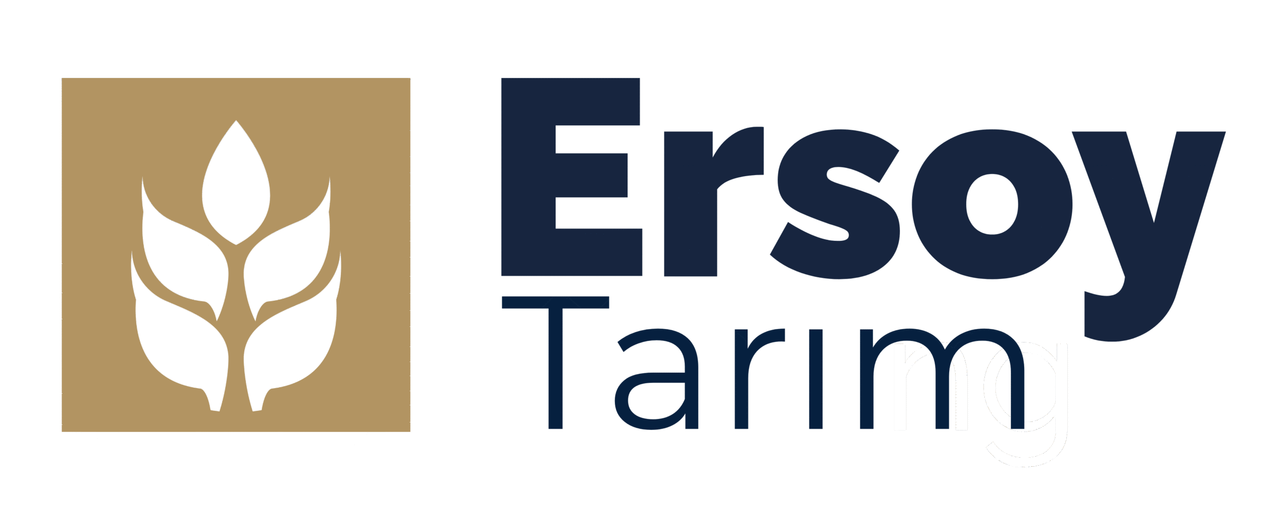 Ersoy Tarım